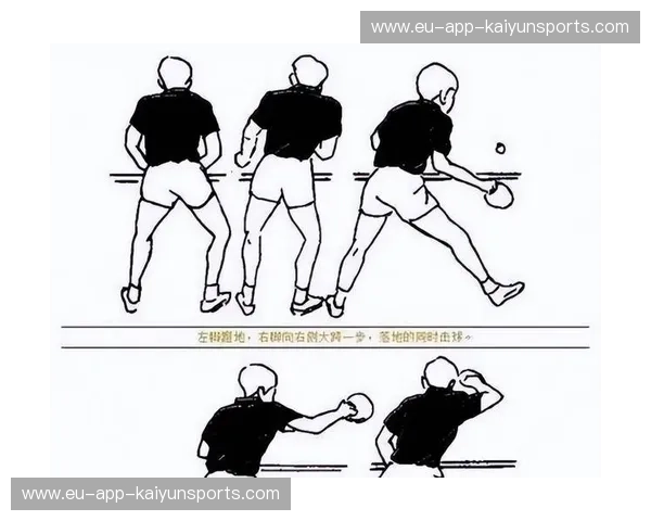 乒乓球深度解读：技术、战术与日常训练的全景指南